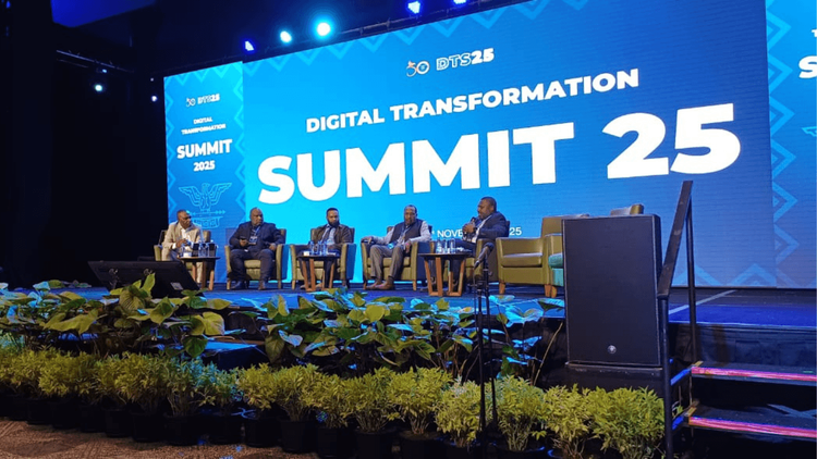 Digital Transformation & E-Government Support