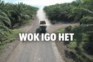 Wok Igo Het
